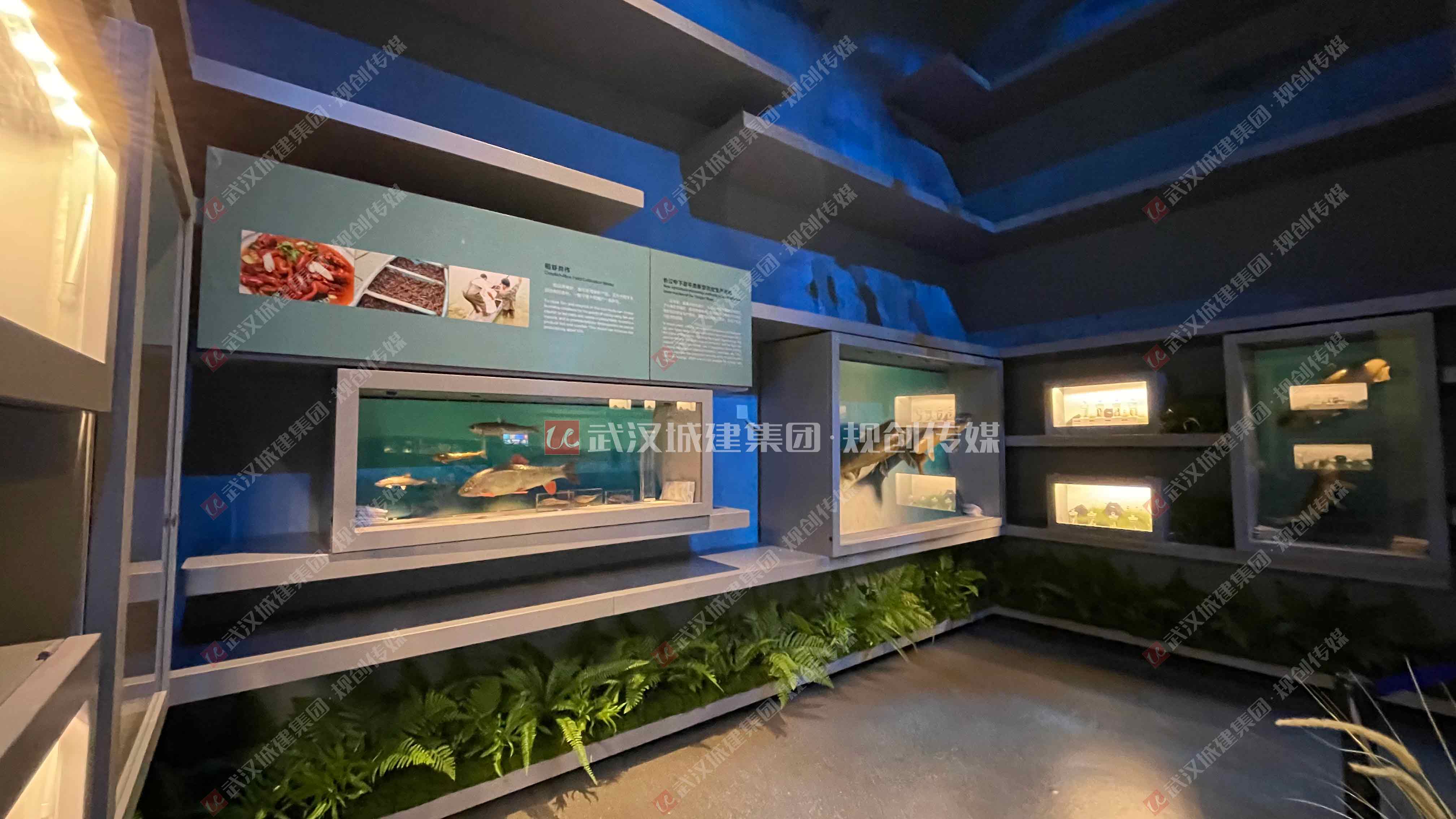 2025新澳门2025原料网茄子下载